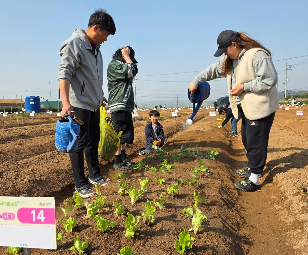 서울시, 도시텃밭 9,016구획 분양…“도심 속 수확의 기쁨”