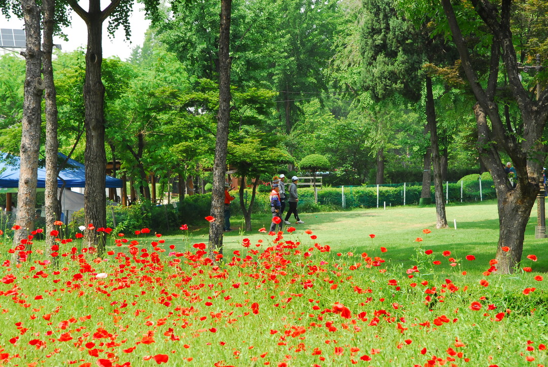 연 3만명 찾는 잠실파크골프장, 4월 1일 재개장…15일부터 예약